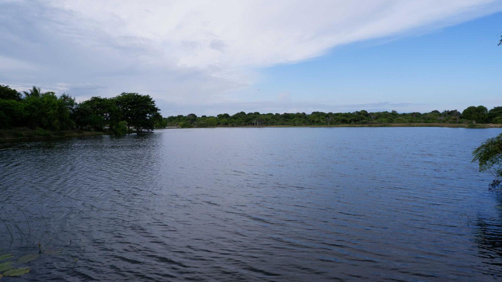 Attale Resort Tissamaharama Buitenkant foto