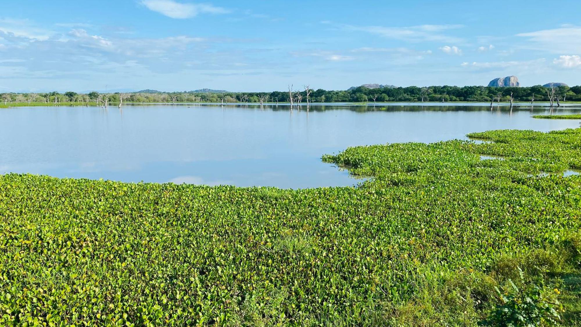 Attale Resort Tissamaharama Buitenkant foto